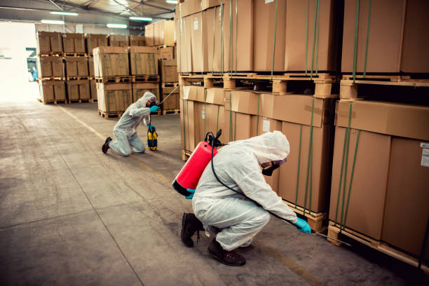 Best Pest Removal Services  in Arlington, WA