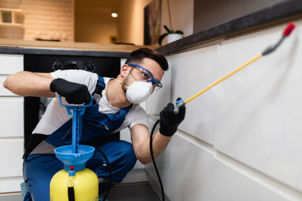 Reliable Arlington, WA Pest Control Solutions