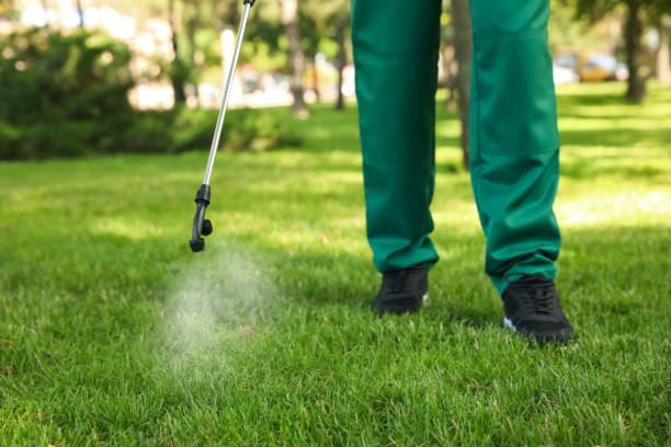 Best Affordable Pest Control Services  in Arlington, WA