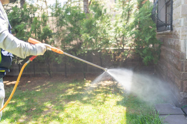 Best Mosquito Control Services  in Arlington, WA
