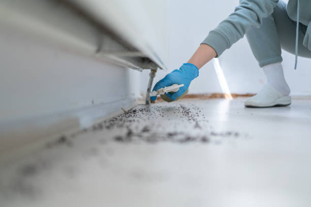 Best Wildlife Control Services  in Arlington, WA